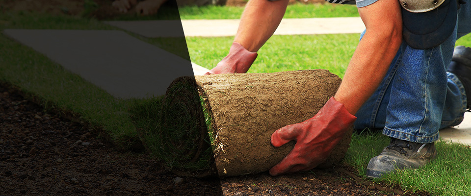 Bettendorf Landscapers